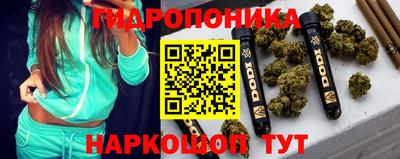 стаф Новозыбков