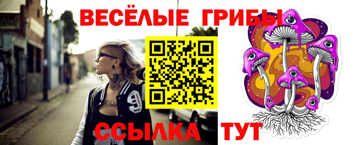 Галлюциногенные грибы Psilocybe Сердобск