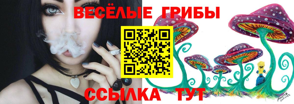 Сердобск  Псилоцибиновые грибы мицелий  закладки  Вход с VPN 
